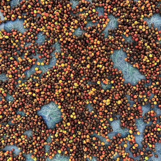 What is the"natural process"?