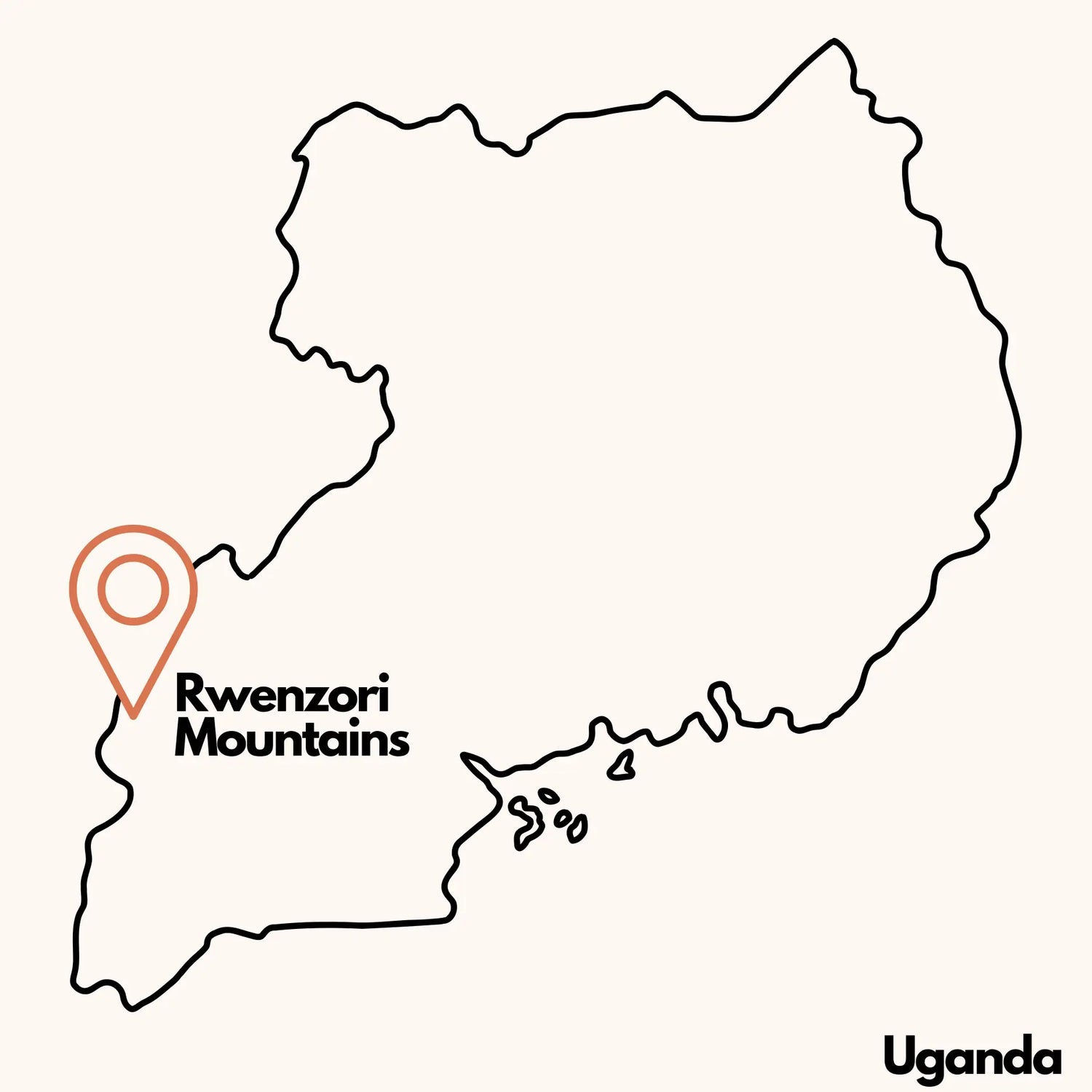 Ugandan Coffee Beans