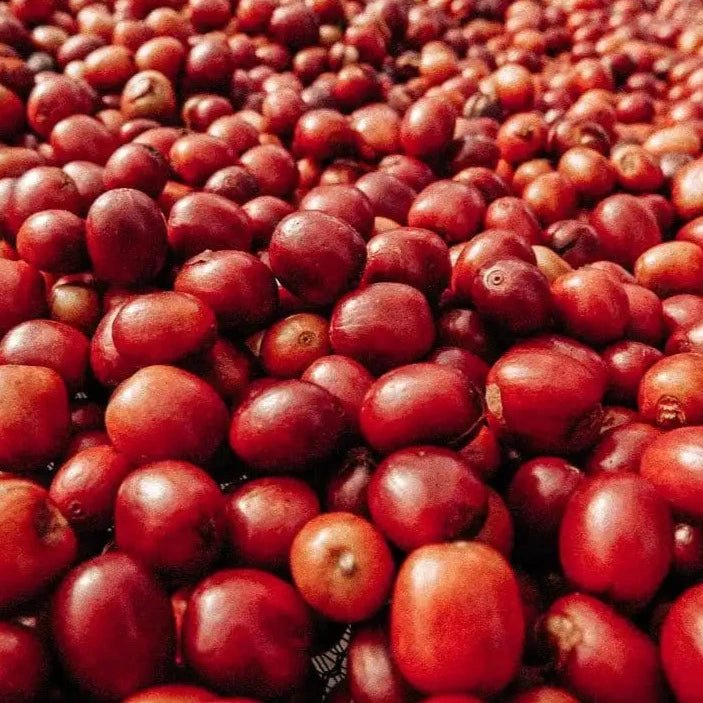 Decaf coffee beans