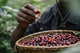 Climate Change and Coffee Production, Male holdering ripe coffee bean cherries