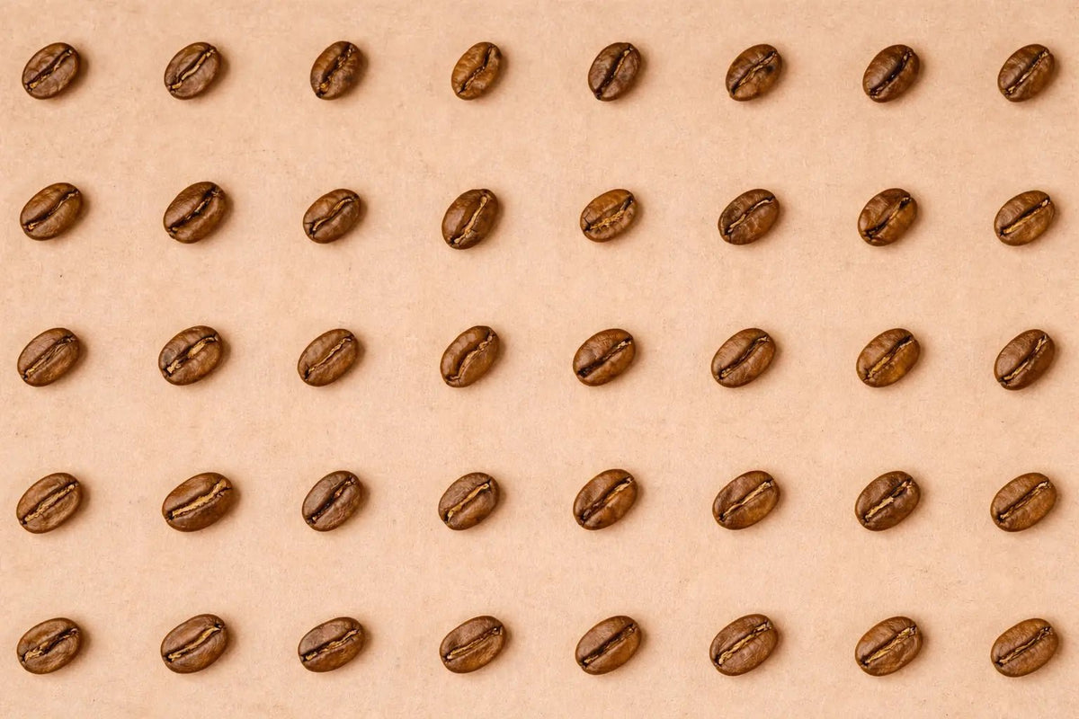 Coffee Freshness: Roast Date, Degassing, and When to Brew