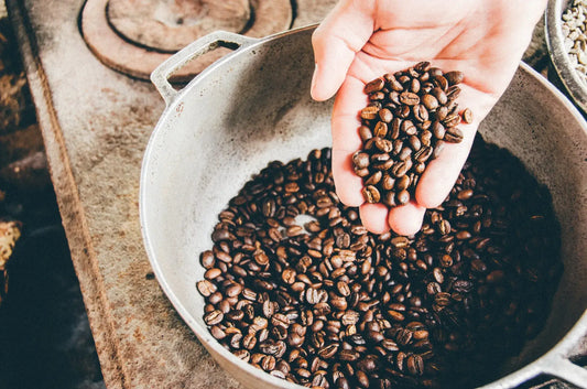 costa rican coffee beans