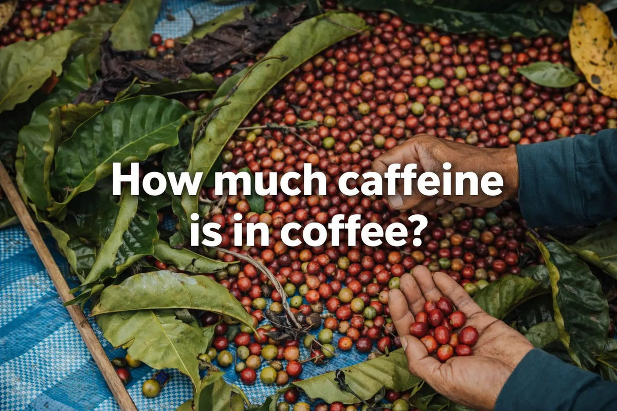 How Much Caffeine is in Coffee?