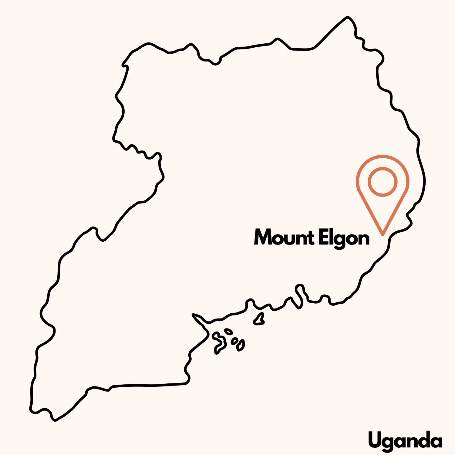 Mount Elgon Ugandan fully washed coffee beans