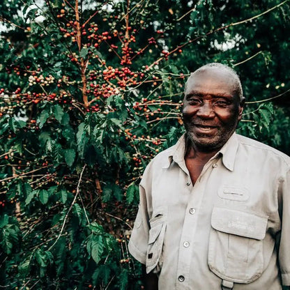 African Moon coffee growing region in Uganda’s Rwenzori mountains