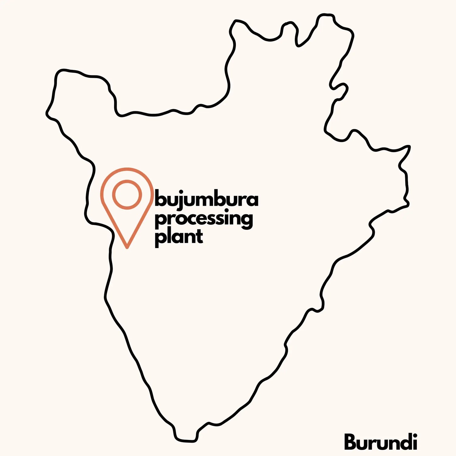 Burundi fully washed coffee beans